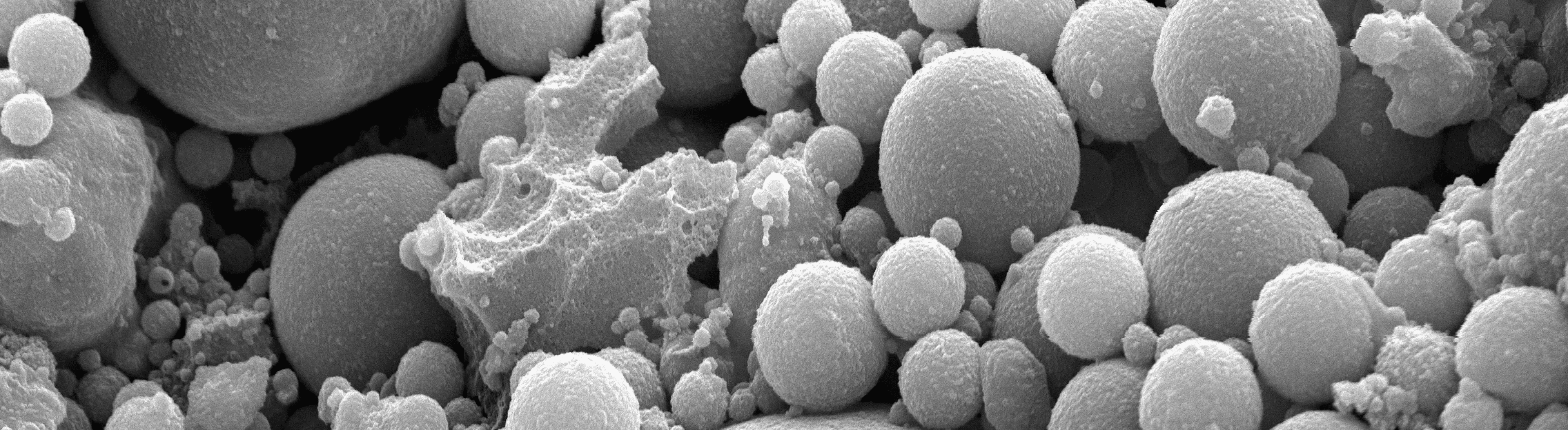 Technology Transfer Banner